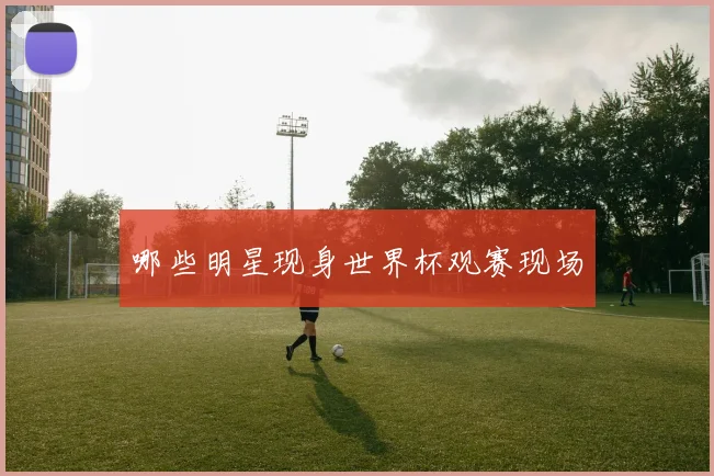 哪些明星现身世界杯观赛现场