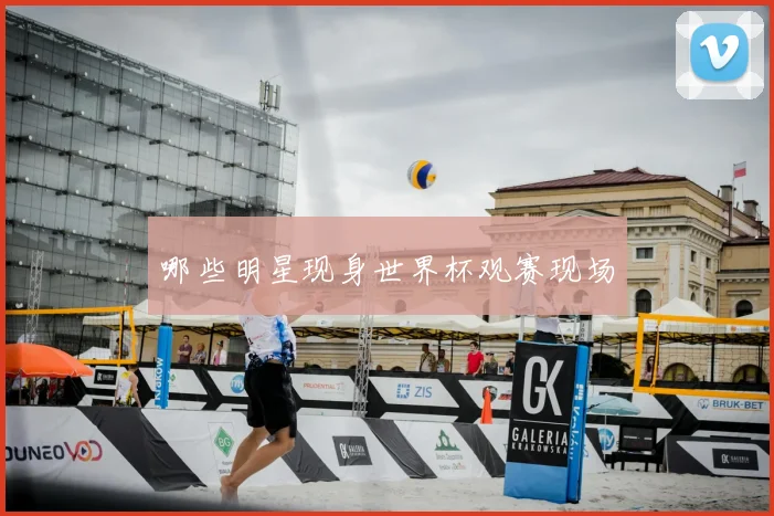 哪些明星现身世界杯观赛现场