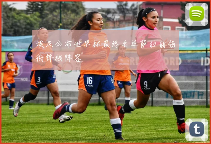 埃及公布世界杯最终名单萨拉赫领衔锋线阵容