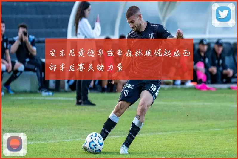 安东尼爱德华兹率森林狼崛起成西部季后赛关键力量