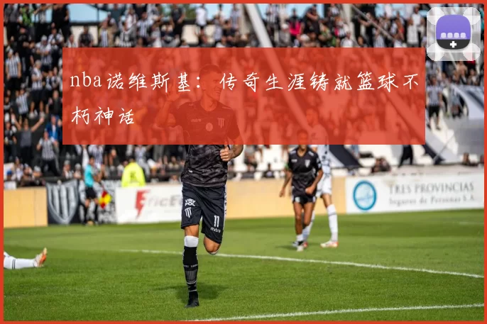 nba诺维斯基：传奇生涯铸就篮球不朽神话