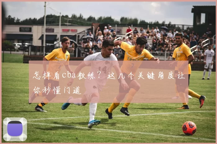 怎样看cba教练？这几个关键角度让你秒懂门道