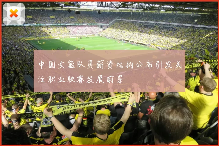 中国女篮队员薪资结构公布引发关注职业联赛发展前景