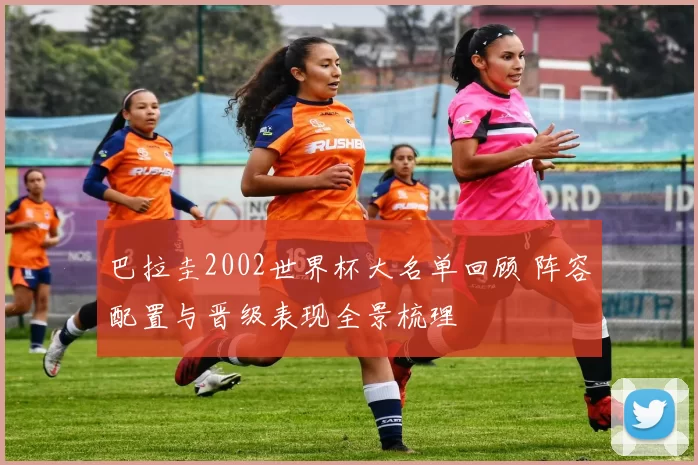 巴拉圭2002世界杯大名单回顾 阵容配置与晋级表现全景梳理