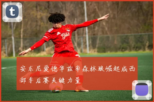 安东尼爱德华兹率森林狼崛起成西部季后赛关键力量